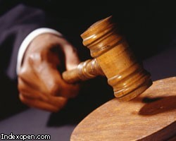 После аукцина британка будет носить имя медведя После аукцина британка будет носить имя медведя