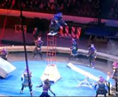 На шоу братьев Запашных произошло ЧП. Гимнаст с пылающими факелами рухнул с 10-метровой высоты