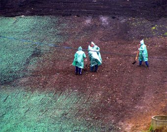 К приезду Путина в Саранске покрасили землю в зеленый цвет (ФОТО) 
